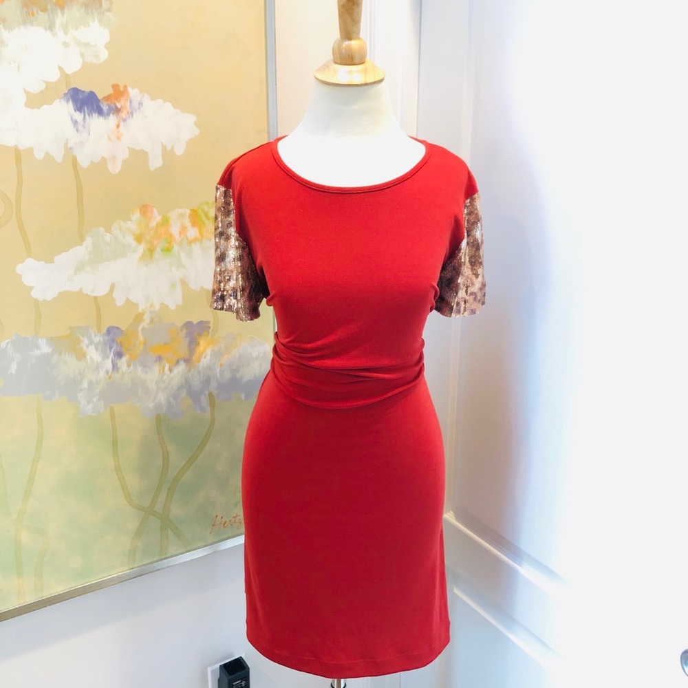 Danny & Nicole Shirt Dress with Sequin Sleeves